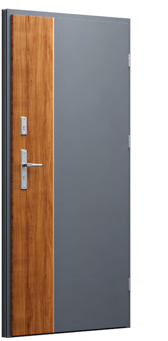 FUTURE INOX FI01a