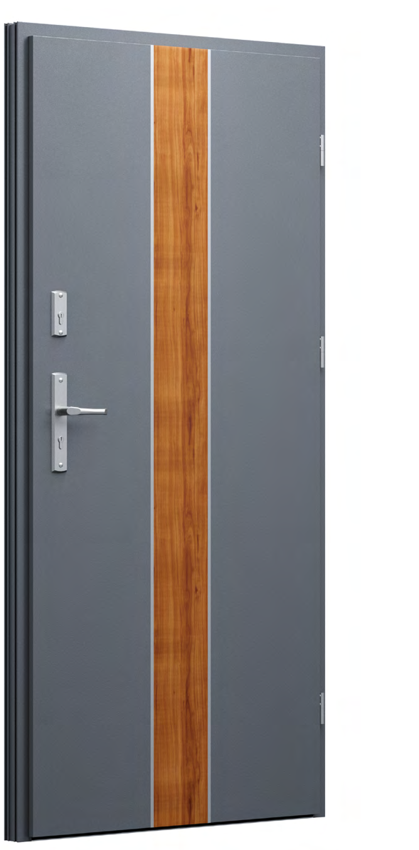 FUTURE INOX FI01c