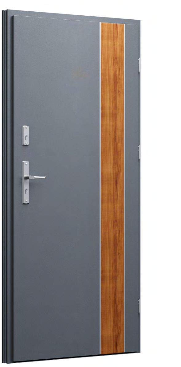 FUTURE INOX FI01d
